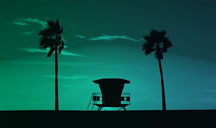 Experience the vibrant community spirit of San Diego through participating in local events like beach cleanups.