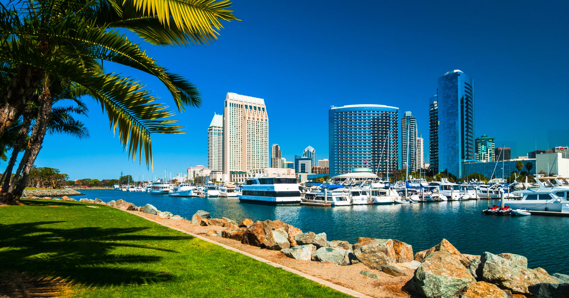 Experience the rich cultural and entertainment landscape of San Diego.
